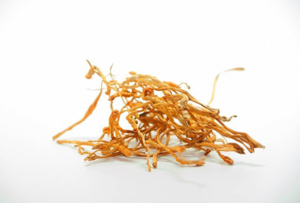 ByPlants Cordyceps Militaris, 50 гр ByPlants Cordyceps Militaris, 50 гр